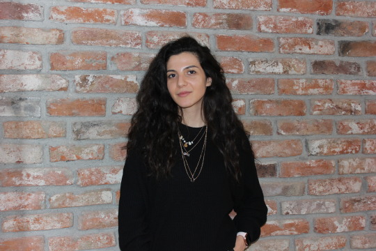 Дневникот на Теодора