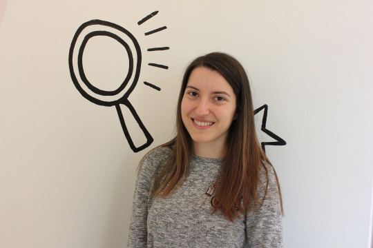 Дневникот на Сања Стојкова 